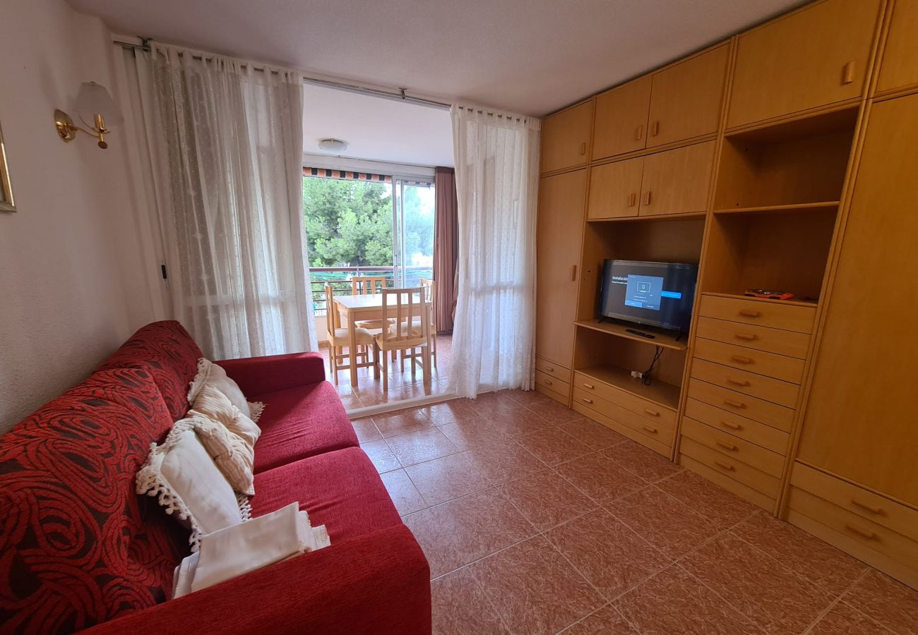 Apartamento en Benidorm - Apartamento  Piscis 4 IF Benidorm