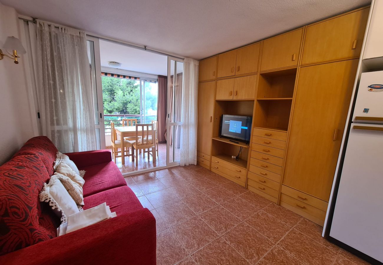 Apartamento en Benidorm - Apartamento  Piscis 4 IF Benidorm