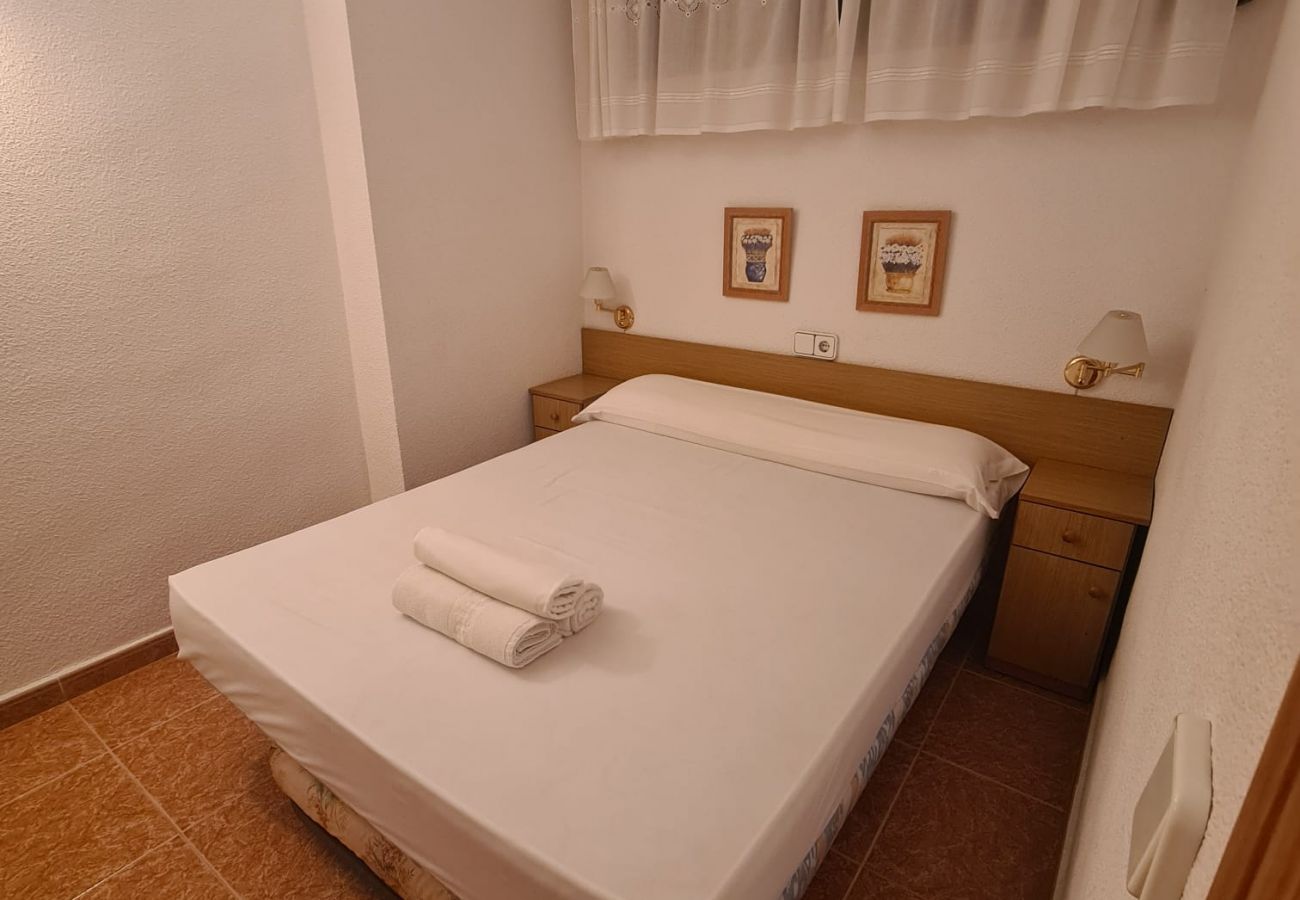 Apartamento en Benidorm - Apartamento  Piscis 4 IF Benidorm