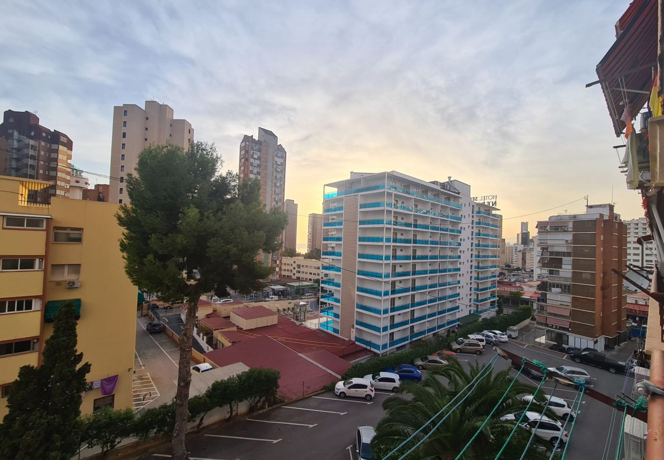 Apartamento en Benidorm - Apartamento  Piscis 4 IF Benidorm