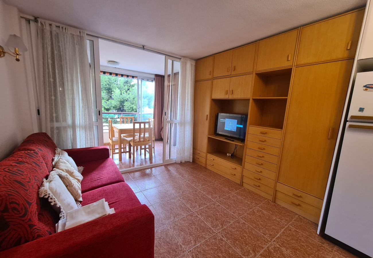 Apartamento en Benidorm - Apartamento  Piscis 4 IF Benidorm