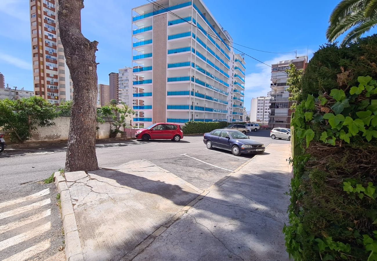 Apartamento en Benidorm - Apartamento  Piscis 4 IF Benidorm