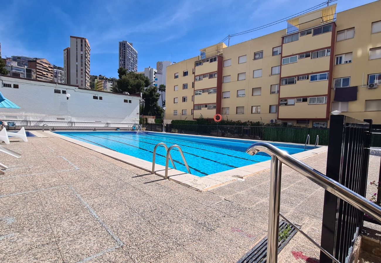 Apartamento en Benidorm - Apartamento  Piscis 4 IF Benidorm