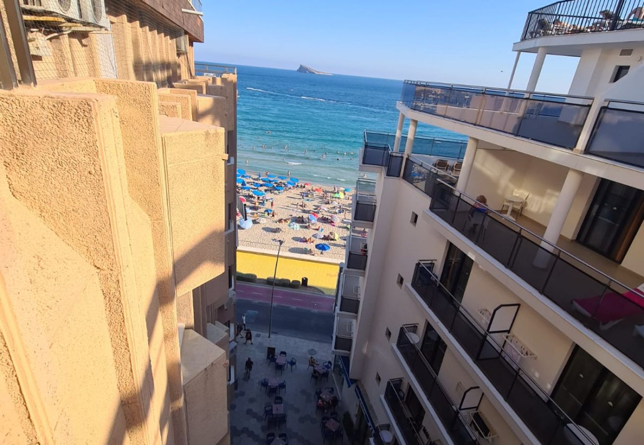 Apartamento en Benidorm - Apartamento  La Marina San Pedro  IF Benidorm