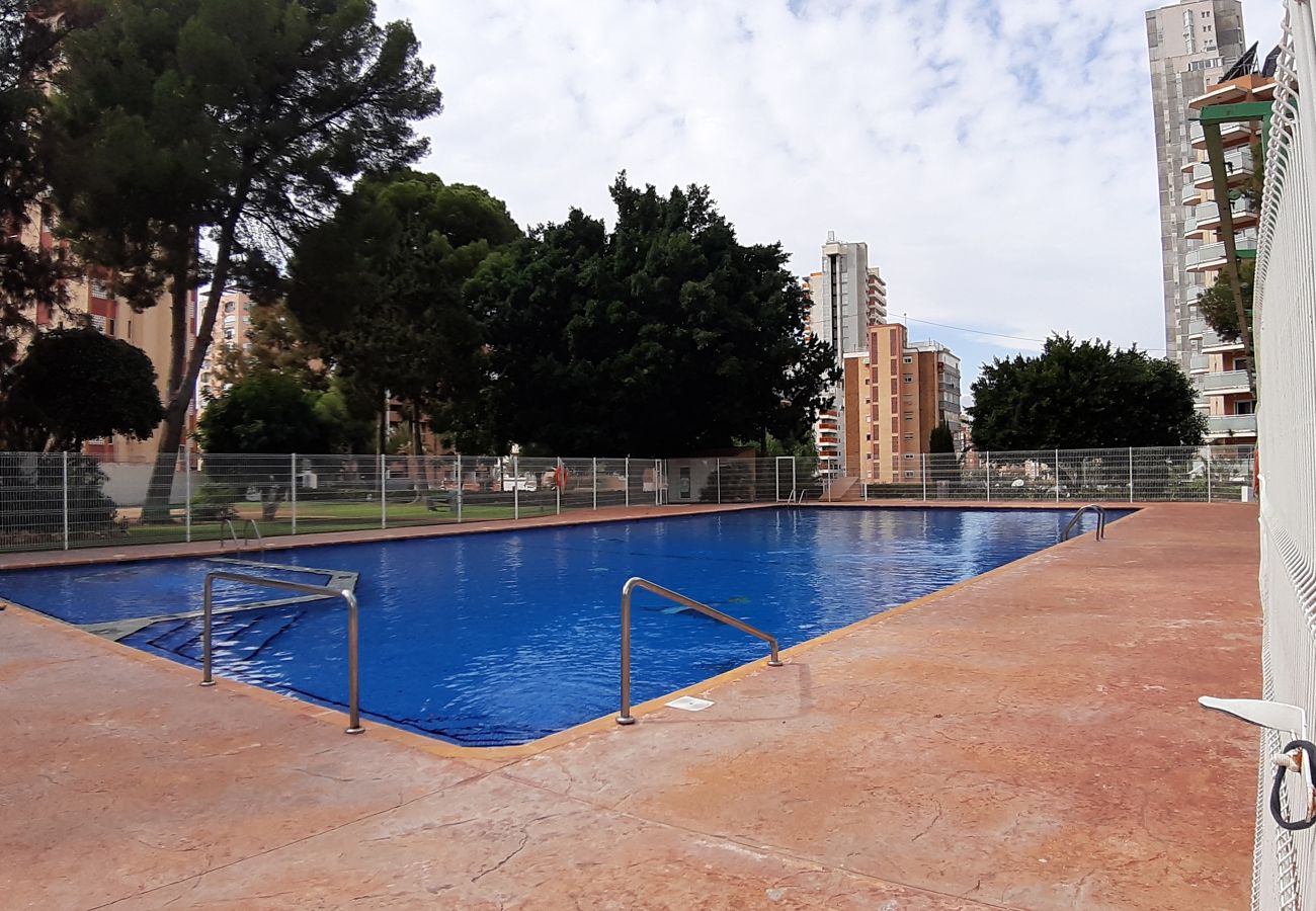 Apartamento en Benidorm - Apartamento Torre Colon IF  Benidorm