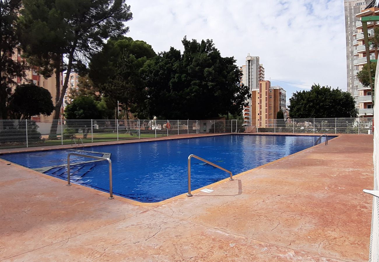 Apartamento en Benidorm - Apartamento Torre Colon IF  Benidorm