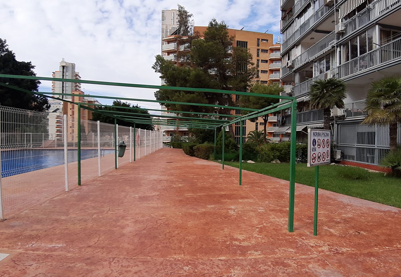 Apartamento en Benidorm - Apartamento Torre Colon IF  Benidorm