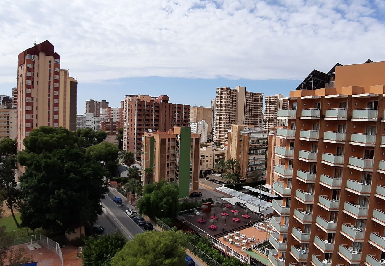 Apartamento en Benidorm - Apartamento Torre Colon IF  Benidorm