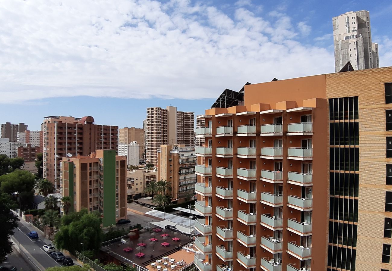 Apartamento en Benidorm - Apartamento Torre Colon IF  Benidorm