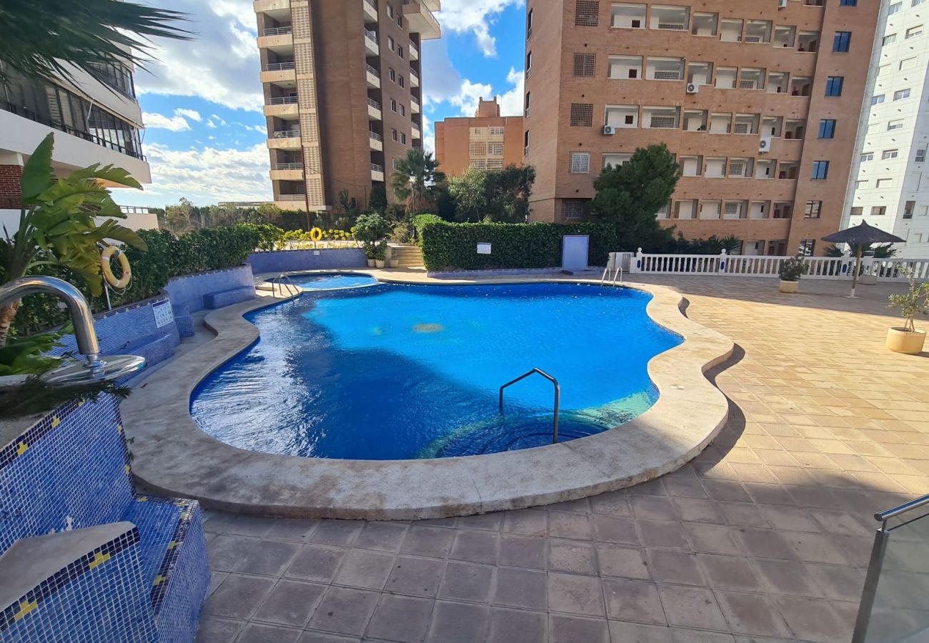 Apartamento en Benidorm - Apartamento Trinisol II 5 IF Benidorm