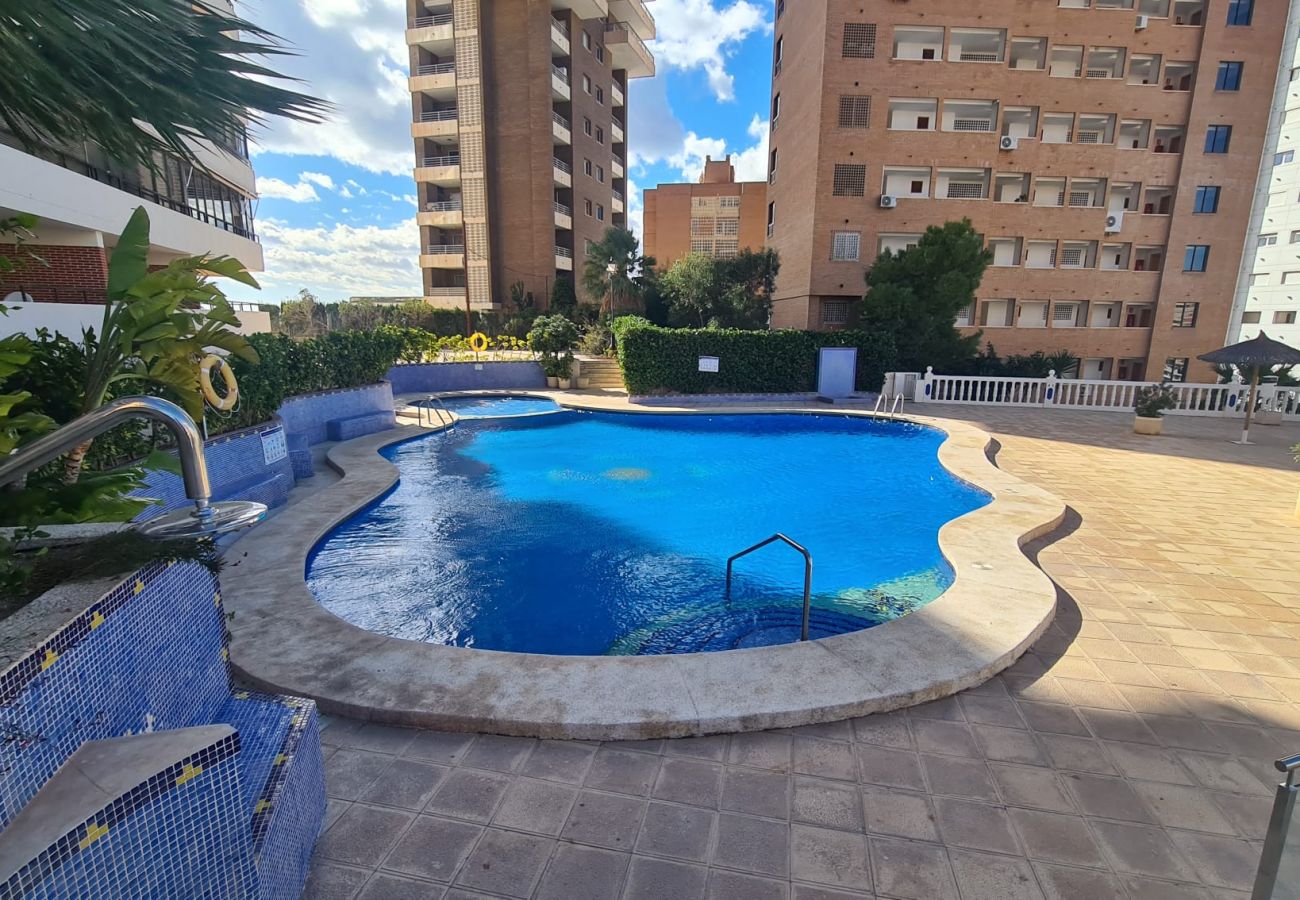 Apartamento en Benidorm - Apartamento Trinisol II 5 IF Benidorm