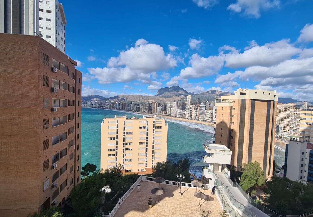 Apartamento en Benidorm - Apartamento Trinisol II 5 IF Benidorm