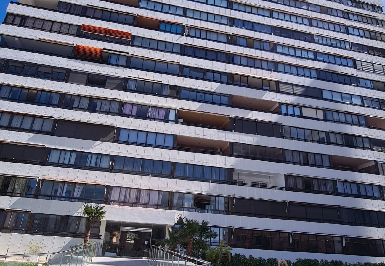 Apartamento en Benidorm - Apartamento Trinisol II 5 IF Benidorm