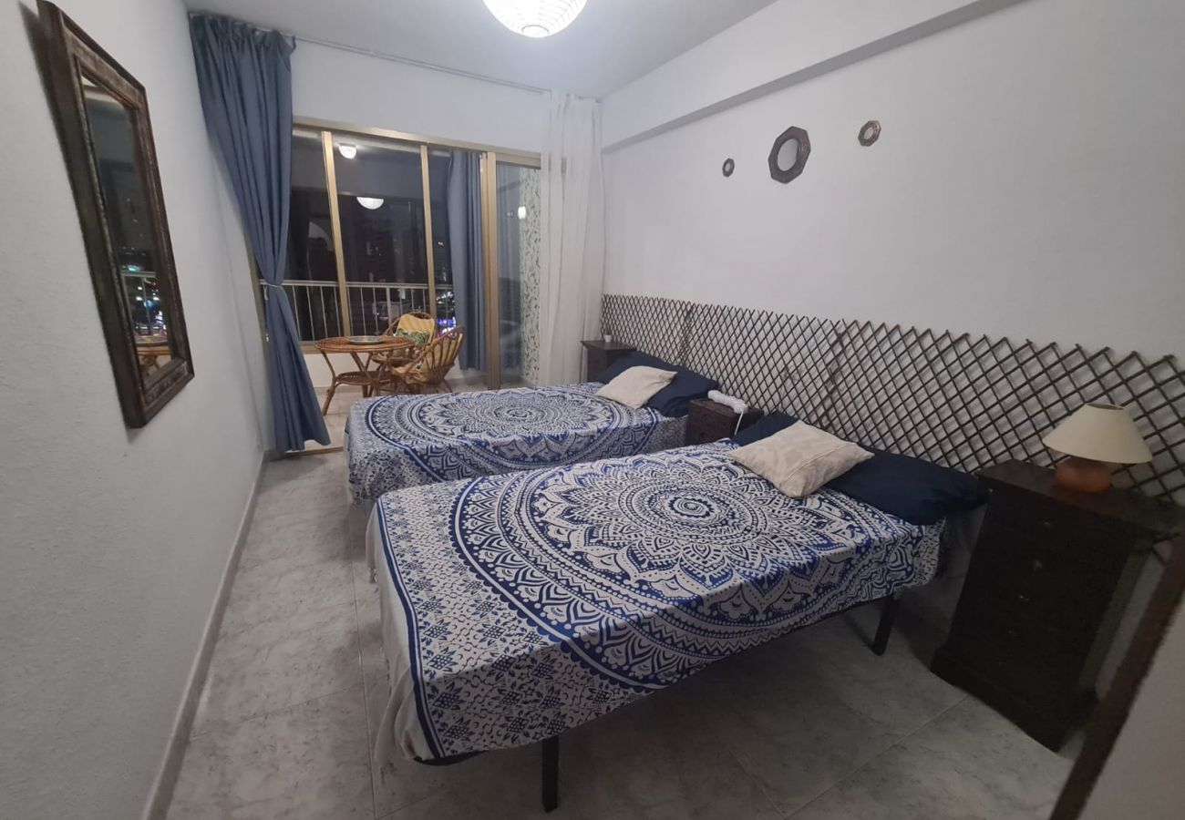 Apartamento en Benidorm - Apartamento  Karola 9 IF Benidorm