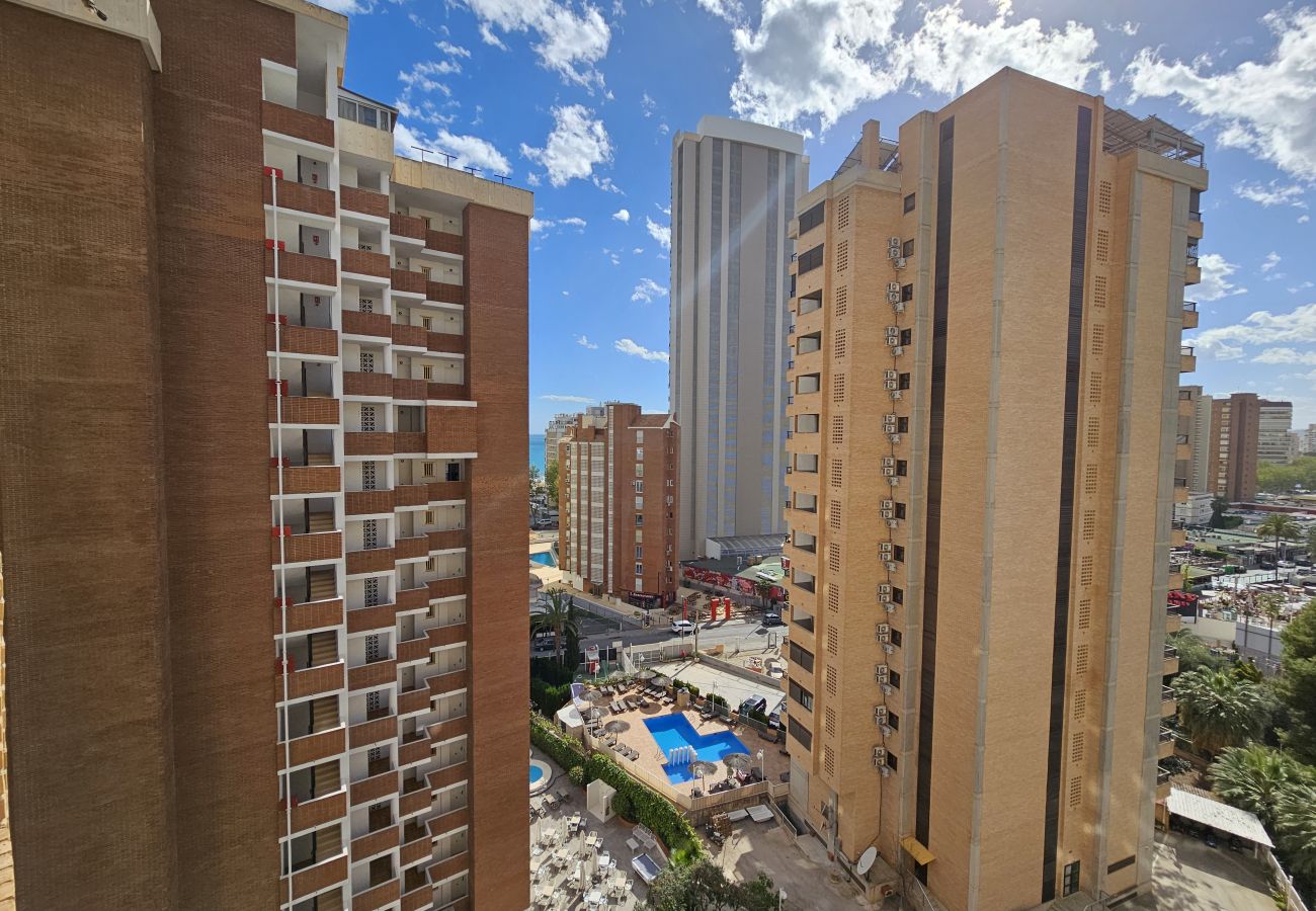 Apartamento en Benidorm - Apartamento  Karola 9 IF Benidorm