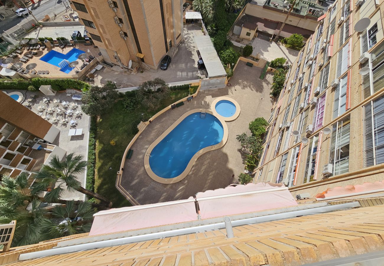 Apartamento en Benidorm - Apartamento  Karola 9 IF Benidorm