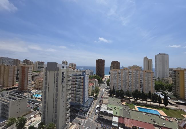 Apartamento en Benidorm - Apartamento  Zeus 14 IF Benidorm