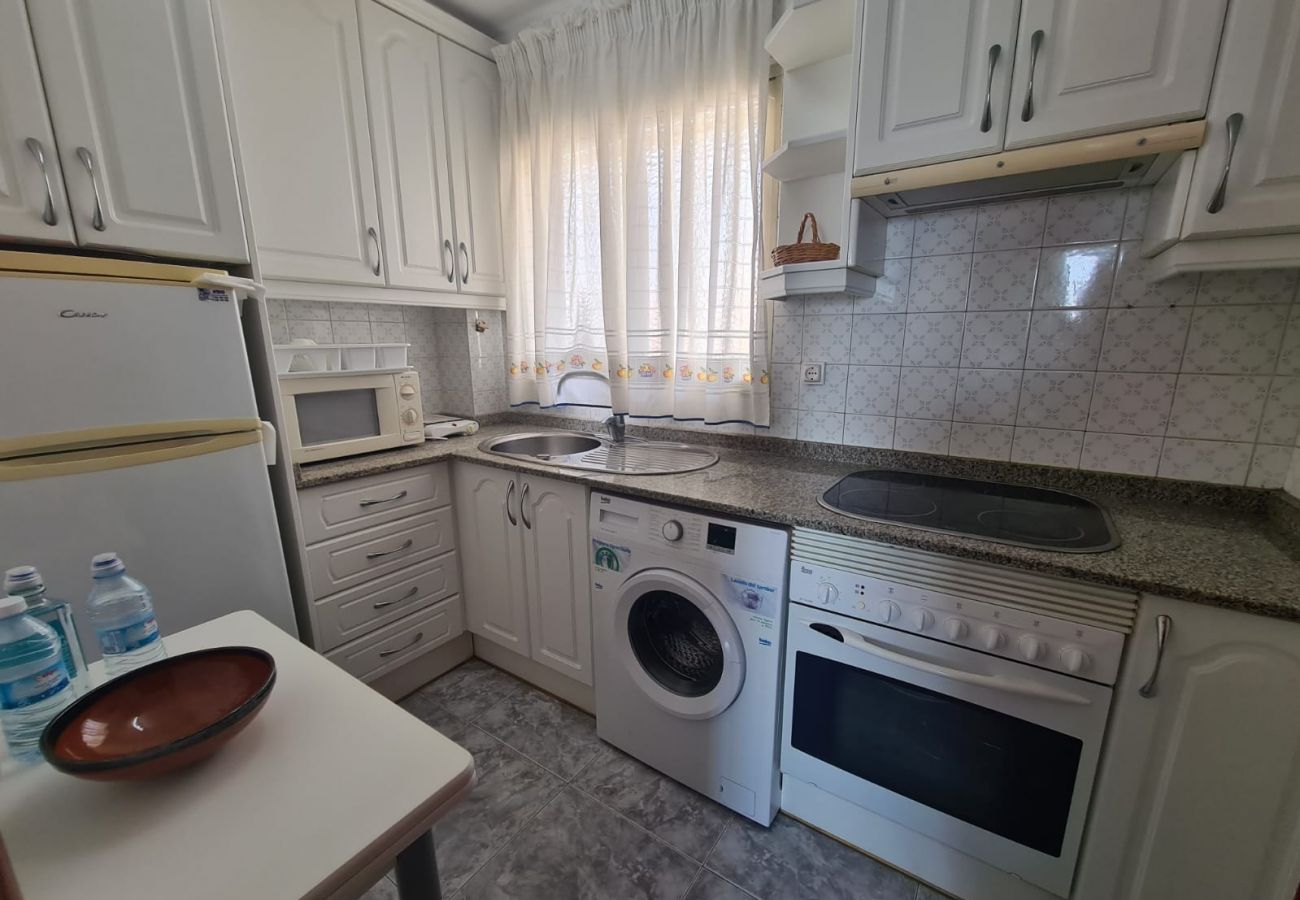 Apartamento en Benidorm - Apartamento  Zeus 14 IF Benidorm