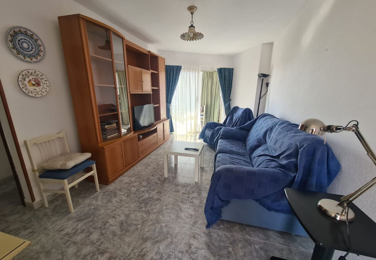 Apartamento en Benidorm - Apartamento  Zeus 14 IF Benidorm