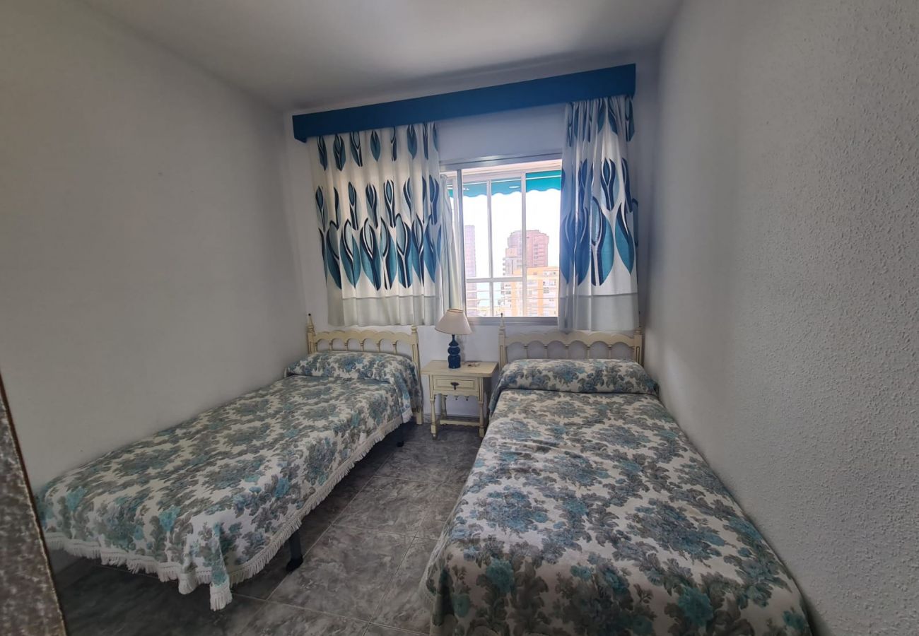 Apartamento en Benidorm - Apartamento  Zeus 14 IF Benidorm