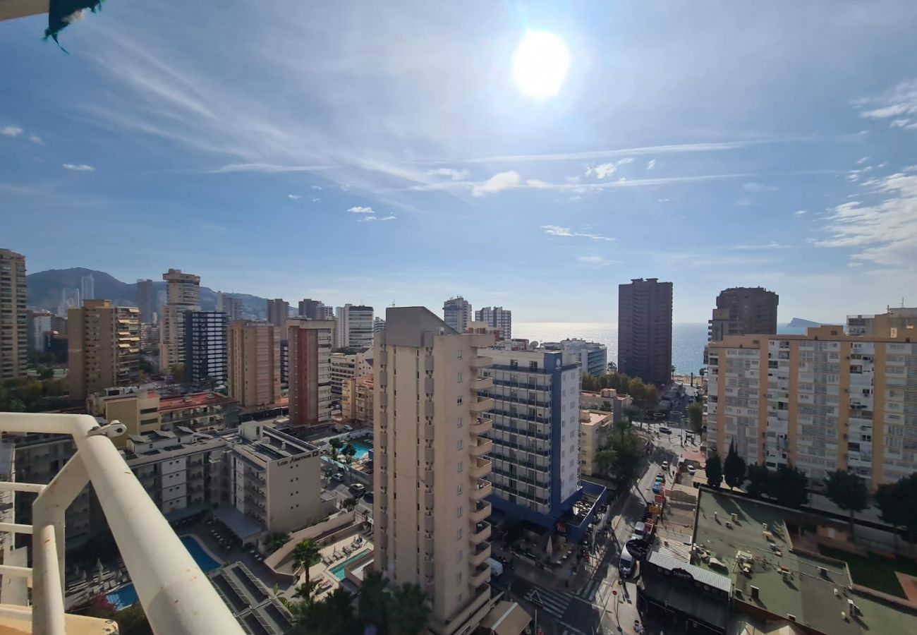 Apartamento en Benidorm - Apartamento  Zeus 14 IF Benidorm