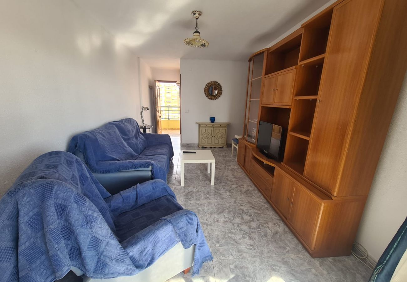 Apartamento en Benidorm - Apartamento  Zeus 14 IF Benidorm