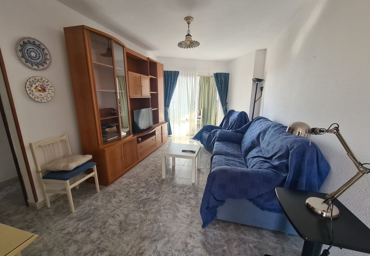 Apartamento en Benidorm - Apartamento  Zeus 14 IF Benidorm