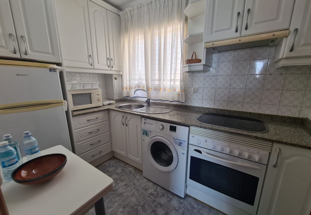 Apartamento en Benidorm - Apartamento  Zeus 14 IF Benidorm