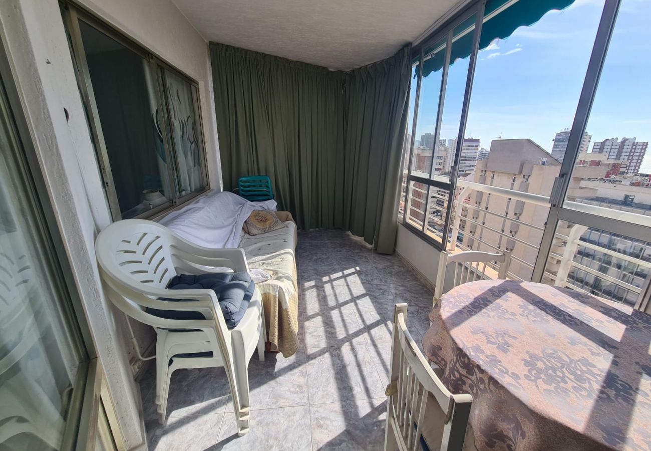 Apartamento en Benidorm - Apartamento  Zeus 14 IF Benidorm