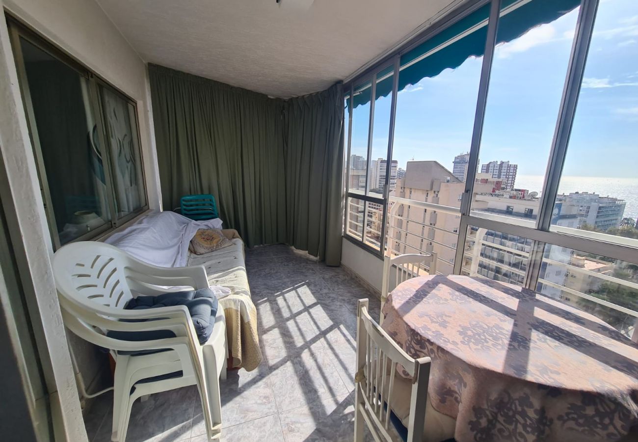 Apartamento en Benidorm - Apartamento  Zeus 14 IF Benidorm