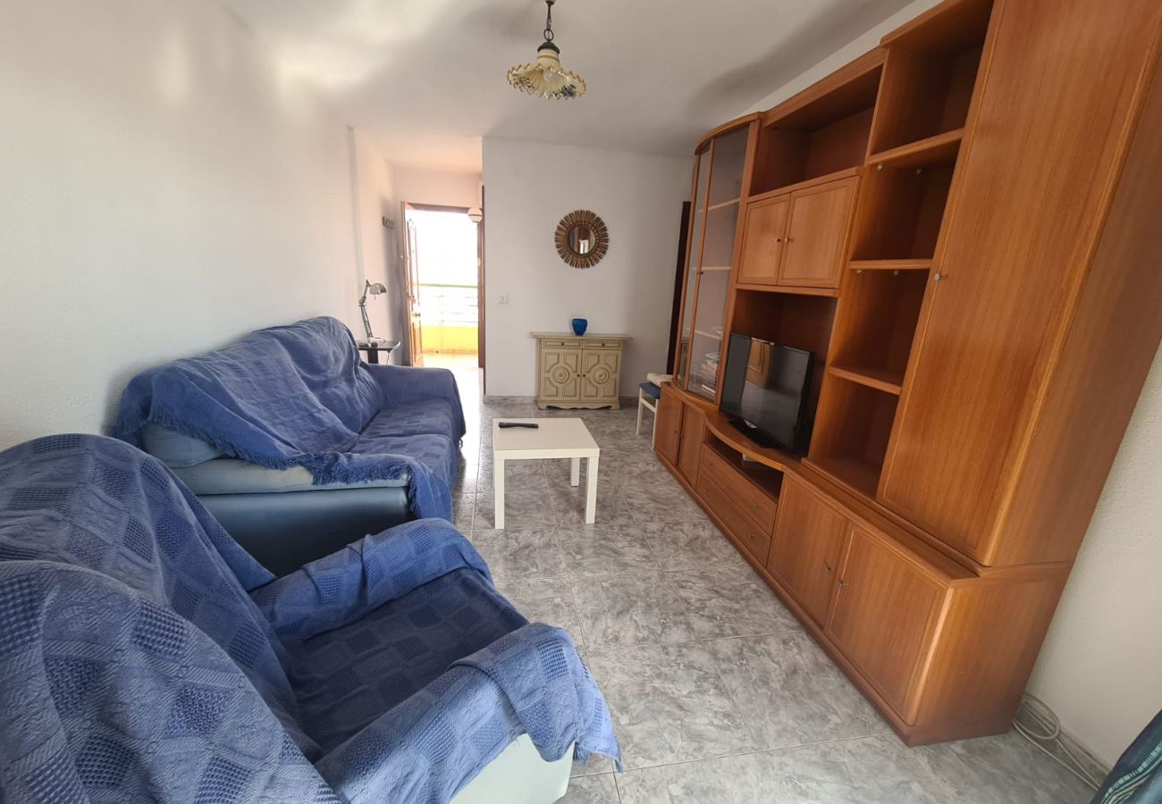 Apartamento en Benidorm - Apartamento  Zeus 14 IF Benidorm