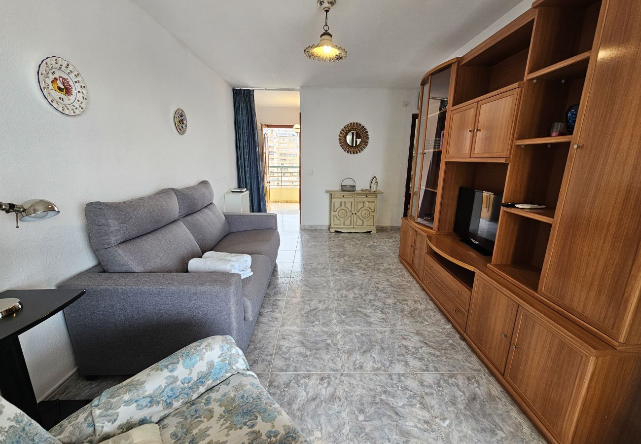Apartamento en Benidorm - Apartamento  Zeus 14 IF Benidorm