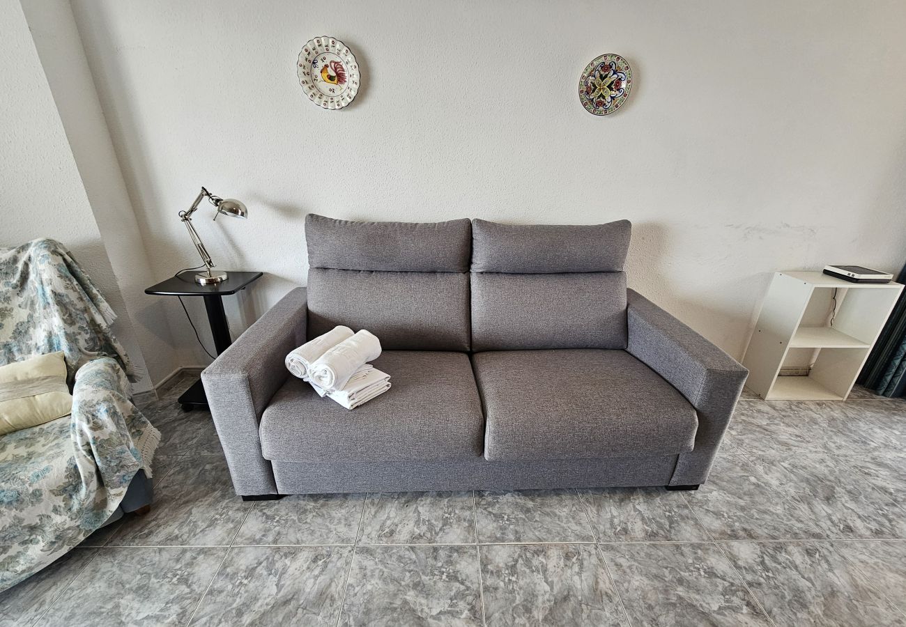 Apartamento en Benidorm - Apartamento  Zeus 14 IF Benidorm