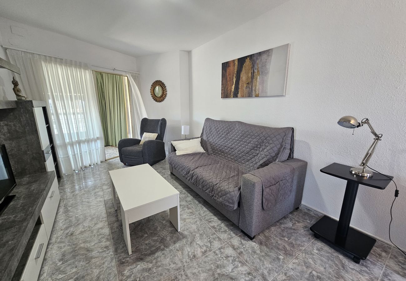 Apartamento en Benidorm - Apartamento  Zeus 14 IF Benidorm