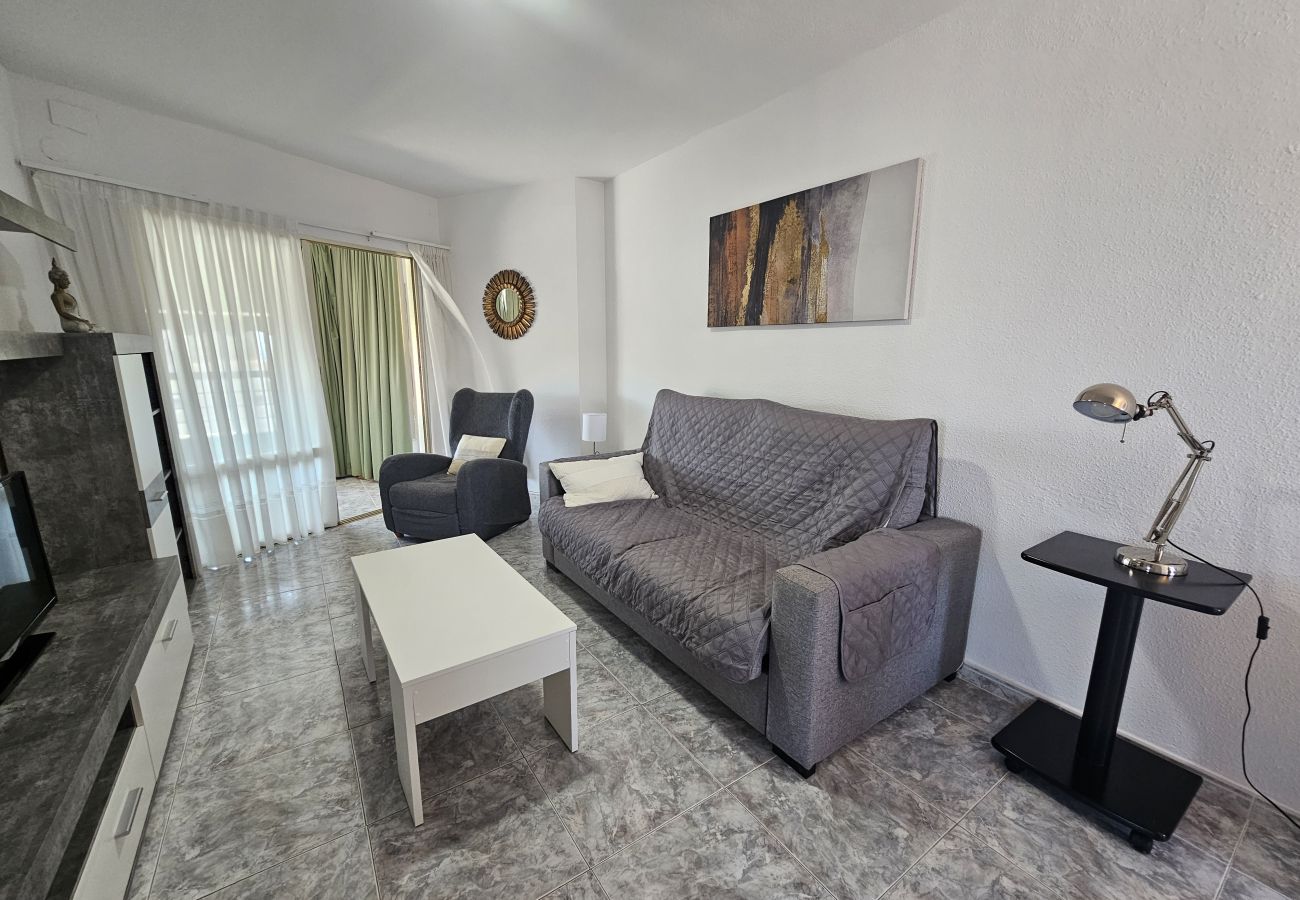 Apartamento en Benidorm - Apartamento  Zeus 14 IF Benidorm