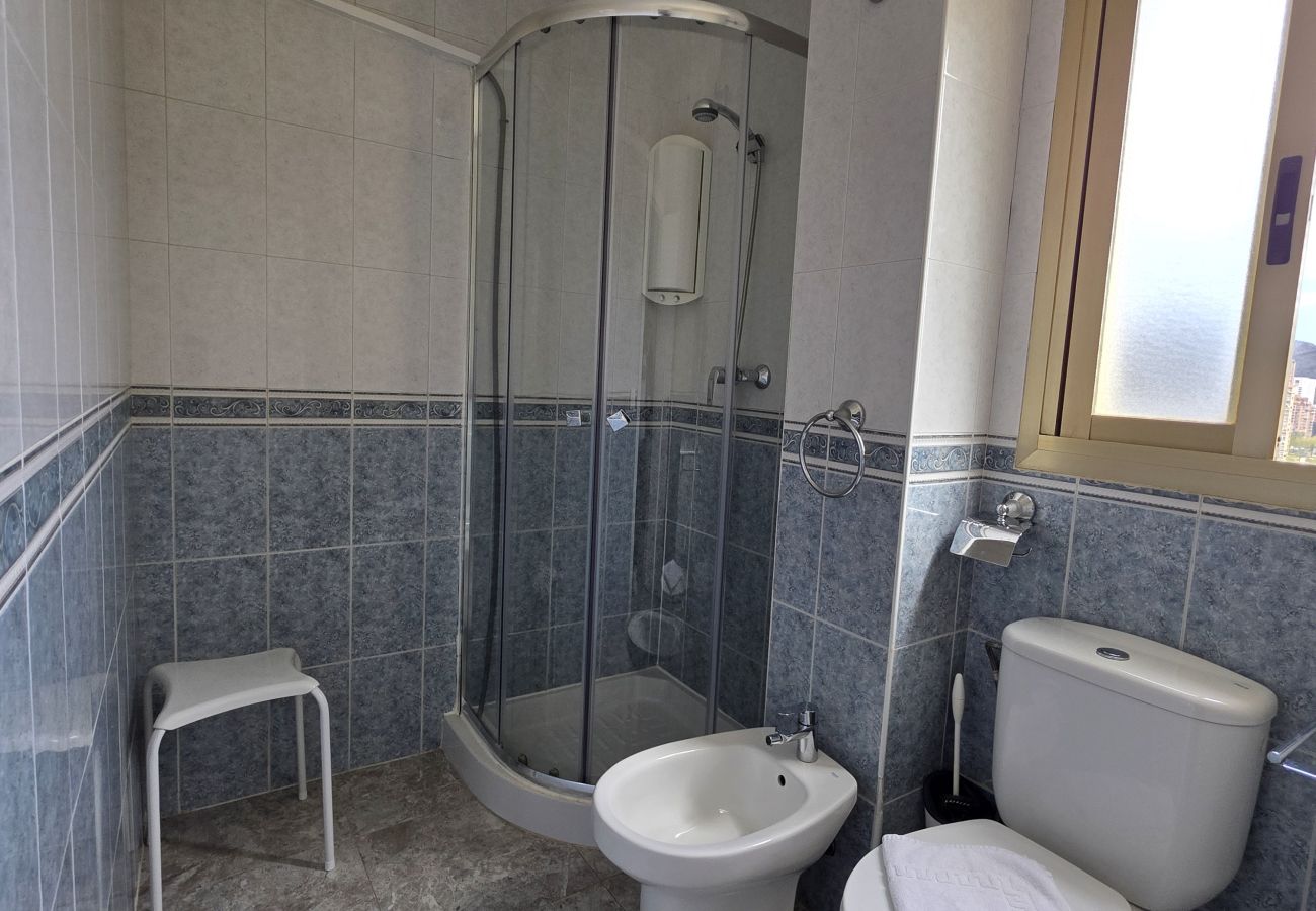 Apartamento en Benidorm - Apartamento  Zeus 14 IF Benidorm