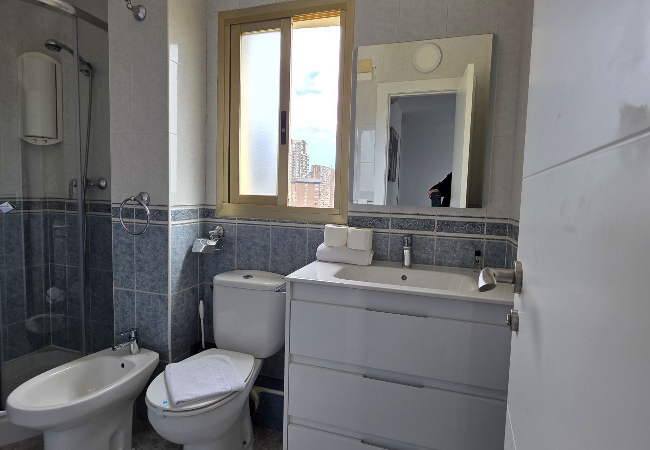 Apartamento en Benidorm - Apartamento  Zeus 14 IF Benidorm