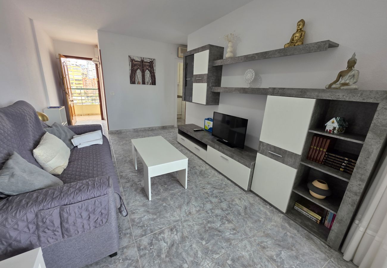 Apartamento en Benidorm - Apartamento  Zeus 14 IF Benidorm
