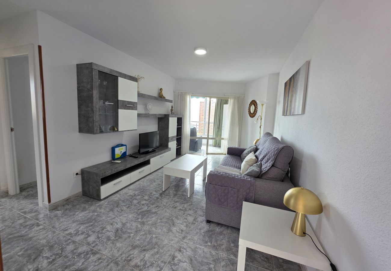 Apartamento en Benidorm - Apartamento  Zeus 14 IF Benidorm