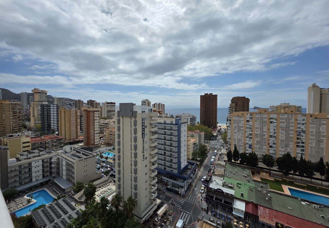 Apartamento en Benidorm - Apartamento  Zeus 14 IF Benidorm