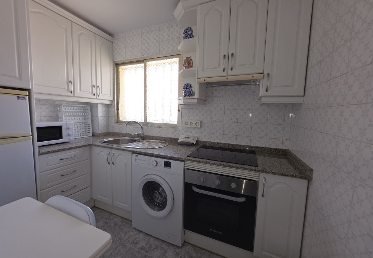 Apartamento en Benidorm - Apartamento  Zeus 14 IF Benidorm