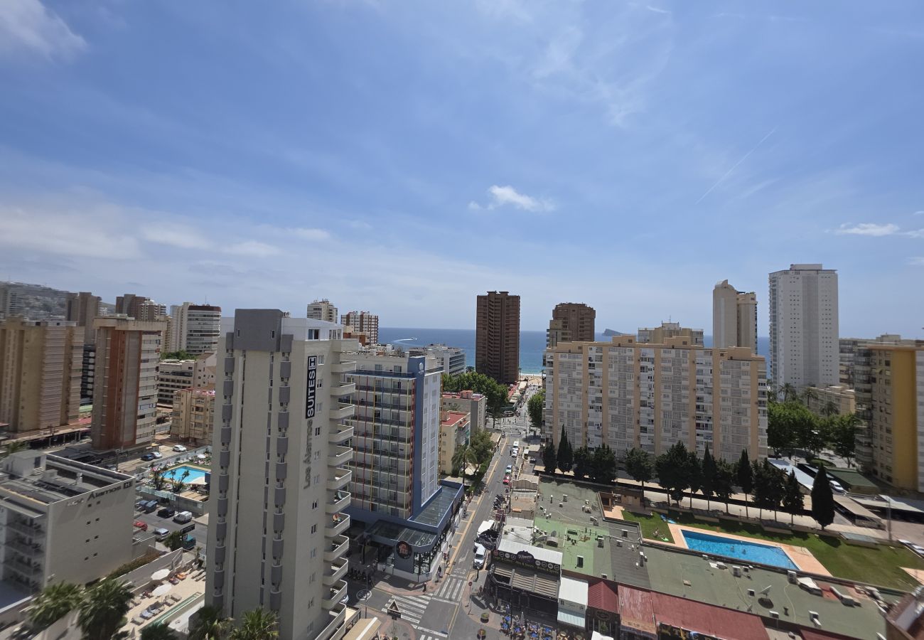 Apartamento en Benidorm - Apartamento  Zeus 14 IF Benidorm