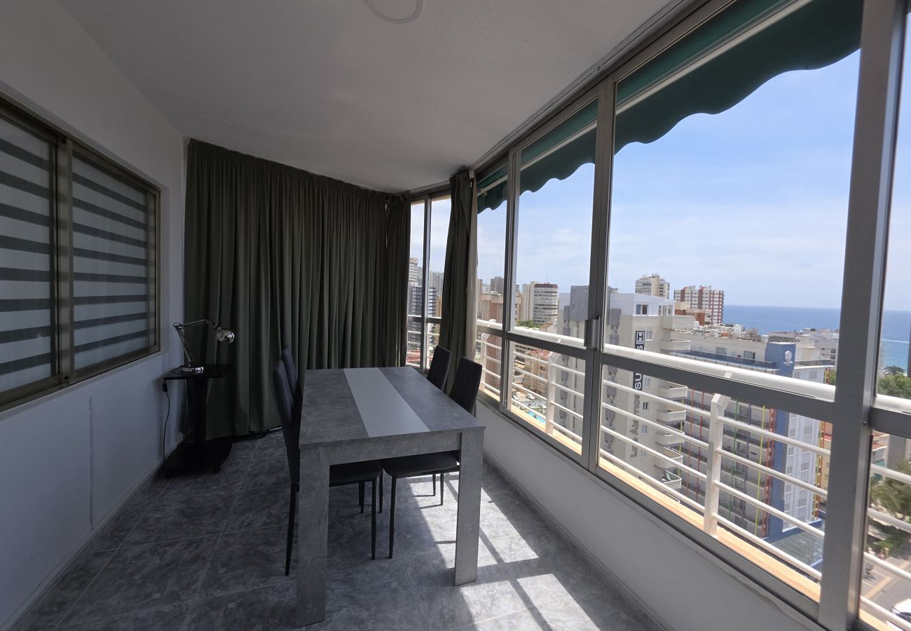 Apartamento en Benidorm - Apartamento  Zeus 14 IF Benidorm