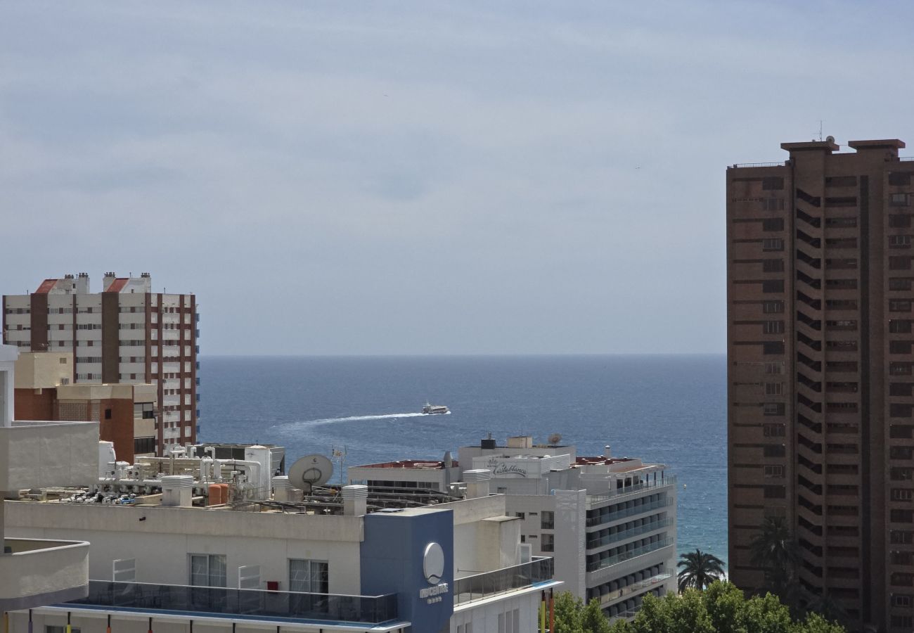 Apartamento en Benidorm - Apartamento  Zeus 14 IF Benidorm
