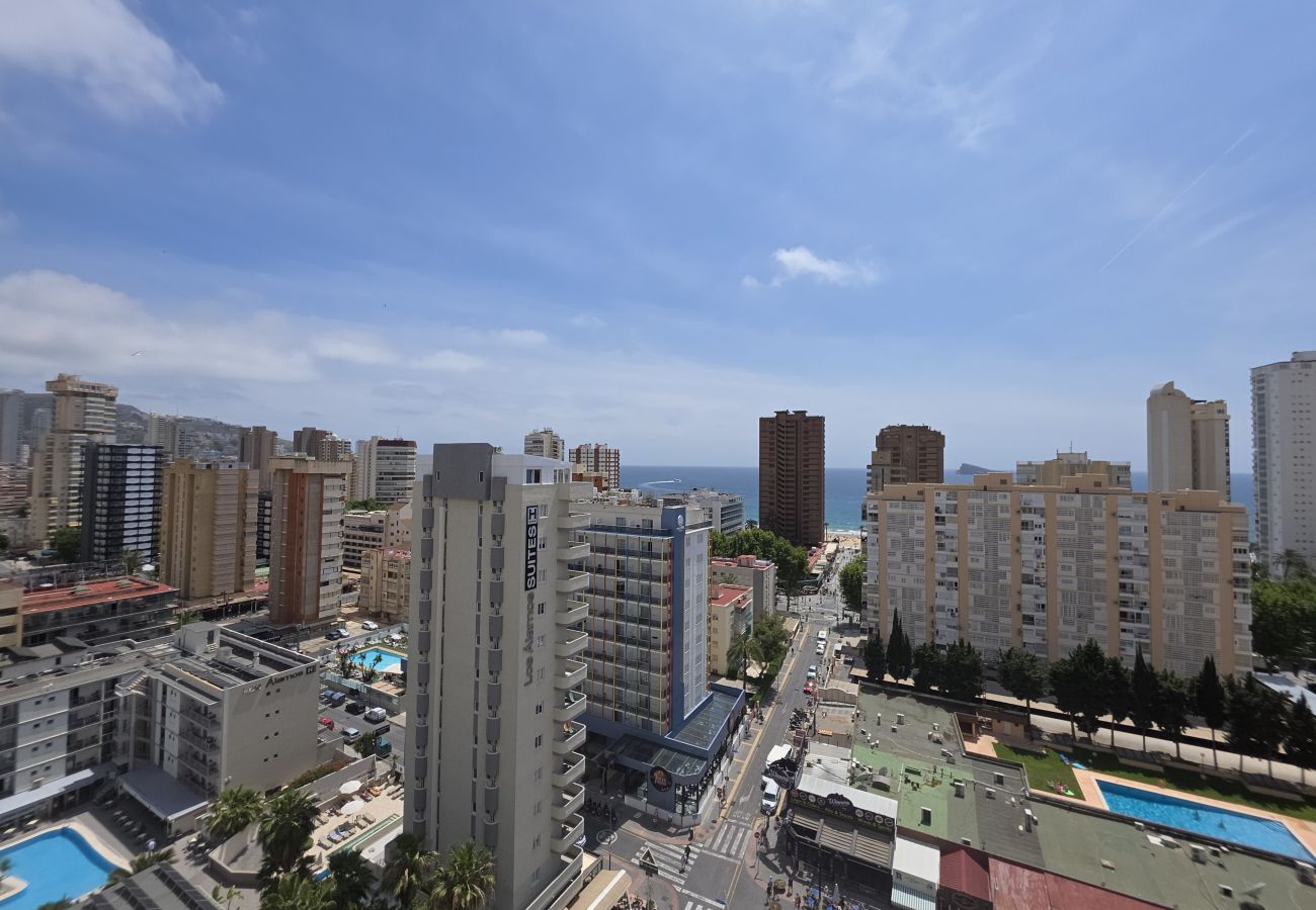 Apartamento en Benidorm - Apartamento  Zeus 14 IF Benidorm