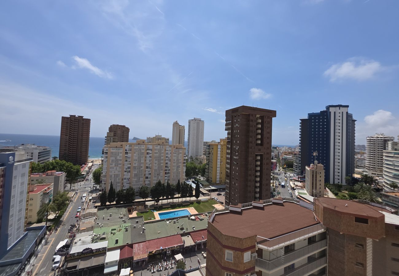 Apartamento en Benidorm - Apartamento  Zeus 14 IF Benidorm