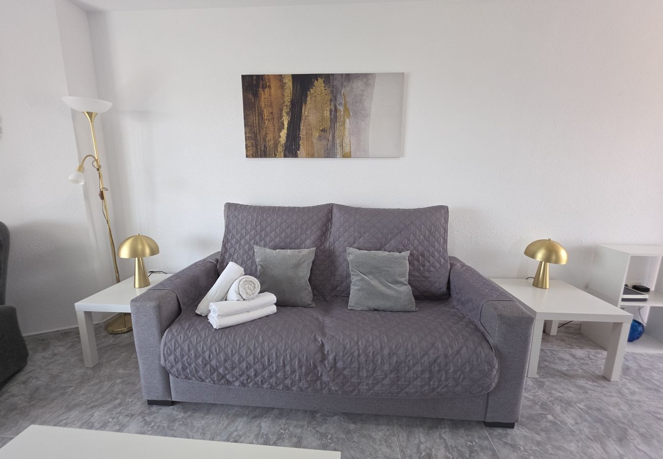 Apartamento en Benidorm - Apartamento  Zeus 14 IF Benidorm
