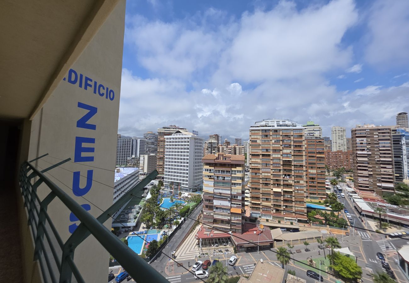 Apartamento en Benidorm - Apartamento  Zeus 14 IF Benidorm