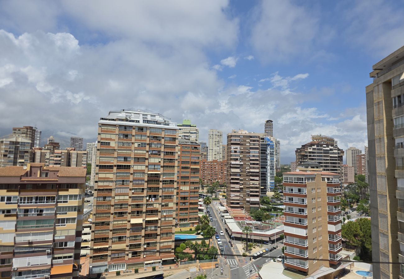 Apartamento en Benidorm - Apartamento  Zeus 14 IF Benidorm