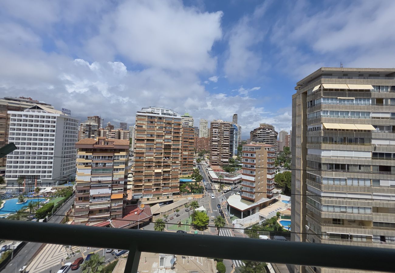 Apartamento en Benidorm - Apartamento  Zeus 14 IF Benidorm